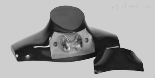 American RSD thyroid phantom image
