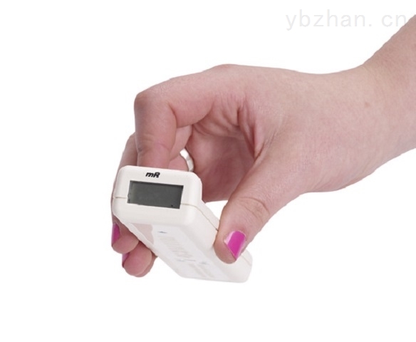 Bleeper mR传呼机式辐射监测仪产品图片