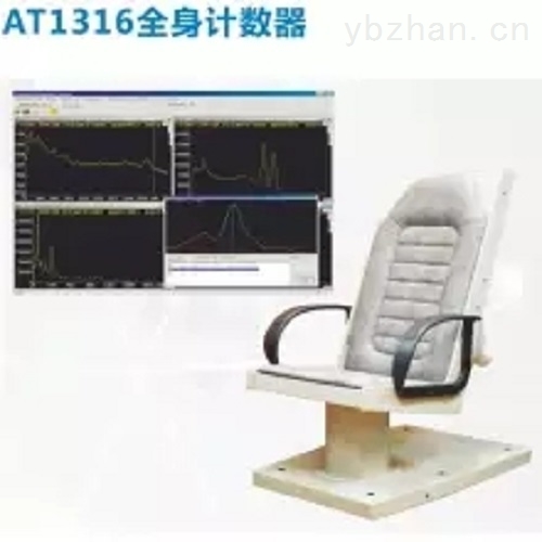 AT1316 Whole Body Radiation Counter image