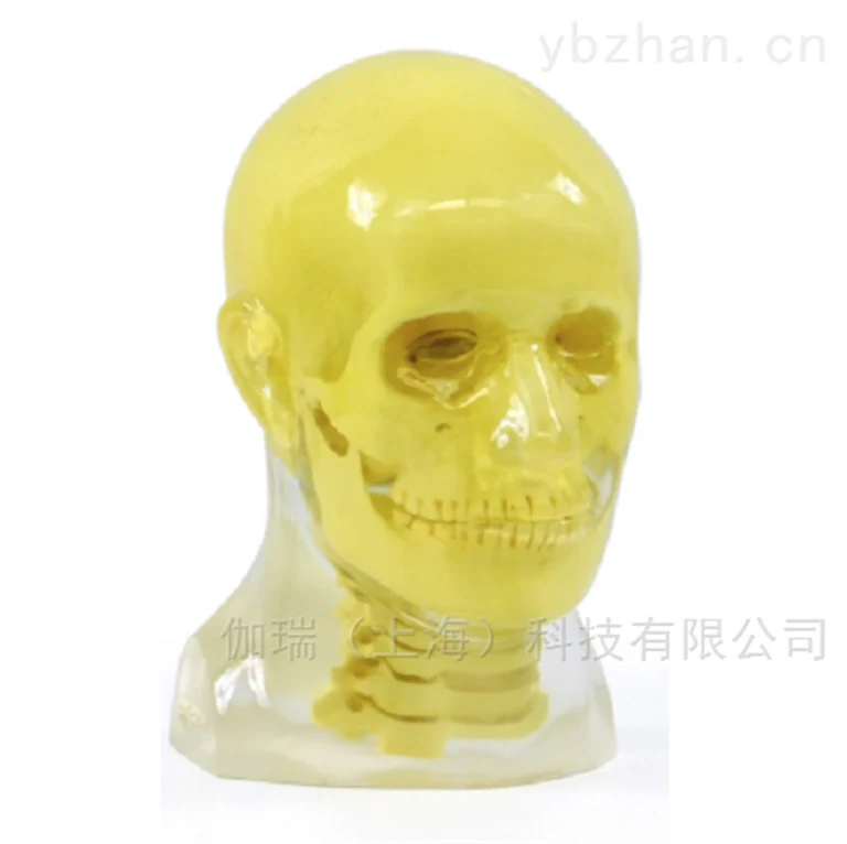 美国RSD模体 不透明头部模型图片 6