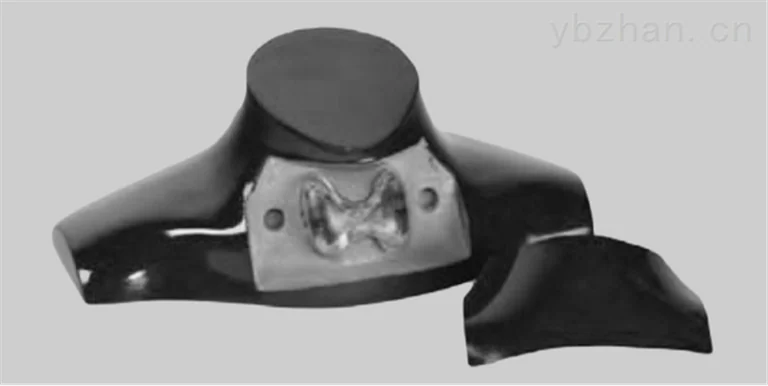 American RSD thyroid phantom image 2