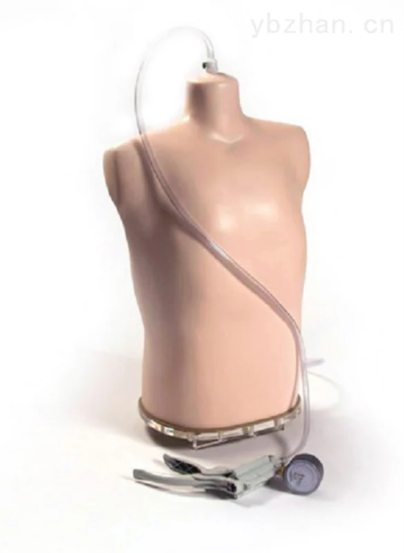 American CIRS 602 three-dimensional torso phantom image 2