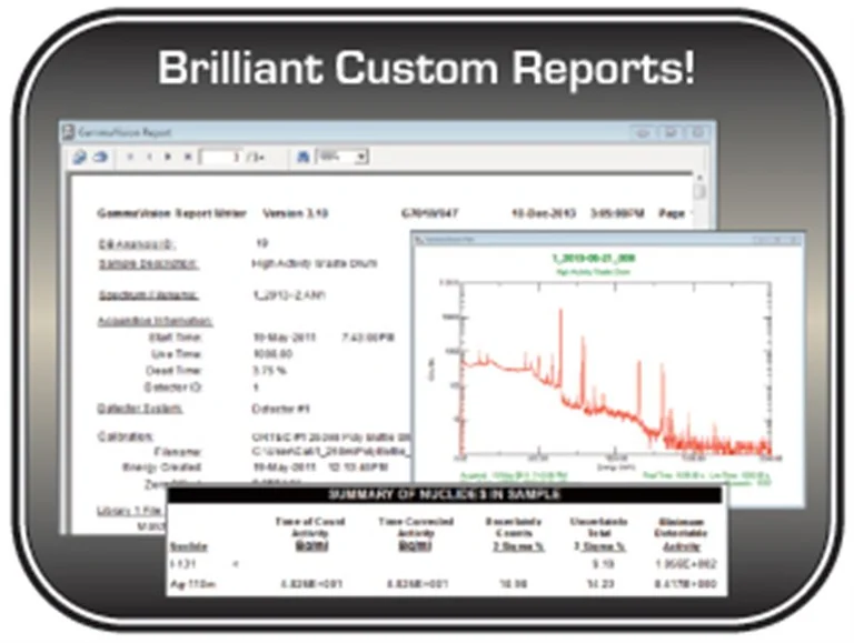 GammaVision Report Generator image 2