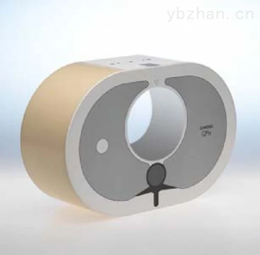 KR113  拟人胸部模体