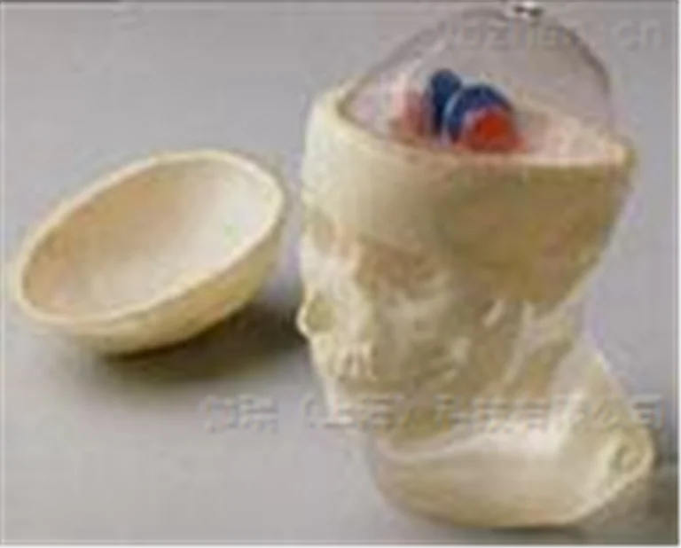 American RSD striatum head and skull cutting phantom image 6
