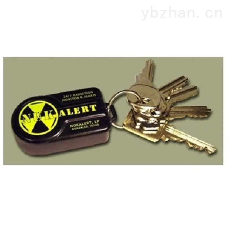 Model901 Ke key chain radiometer image 2