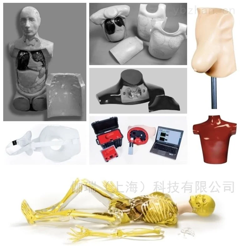 美国RSD模体 手肘肘部模型模体图片 6