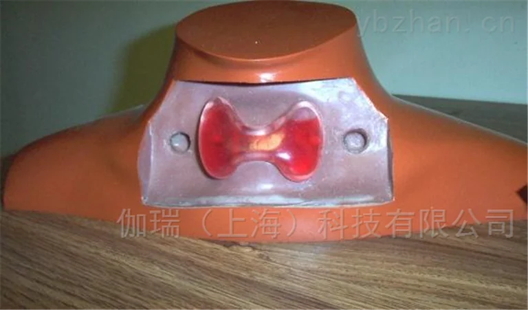 American RSD thyroid phantom image 3