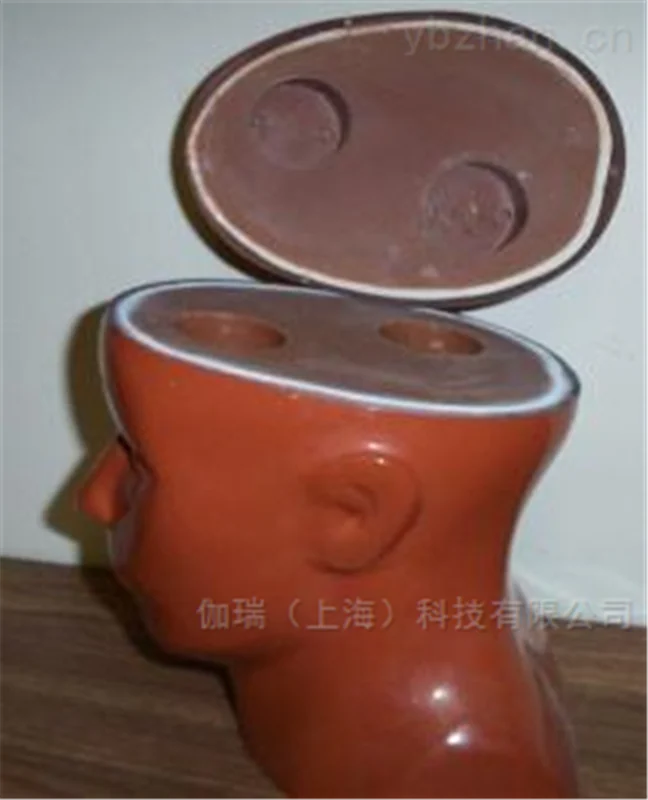 美国RSD  头部仿真CT模体图片 4