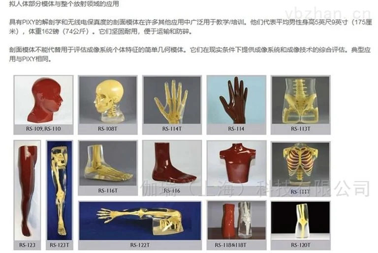 美国RSD模体 手肘肘部模型模体图片 5