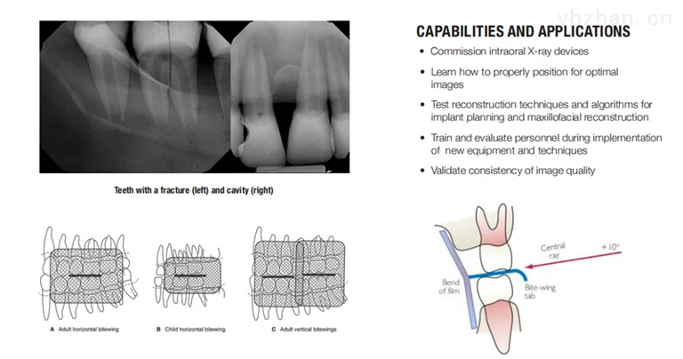 American CIRS 134200 dental oral phantom image 3
