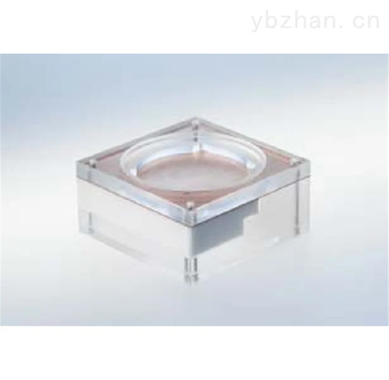 牙科X射线机检测模体图片 3