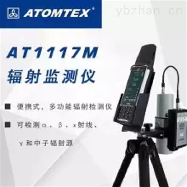 AT1117M辐射监测仪图片 3