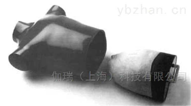 美国RSD模体 胸部肺部模体胸肺模体图片 3