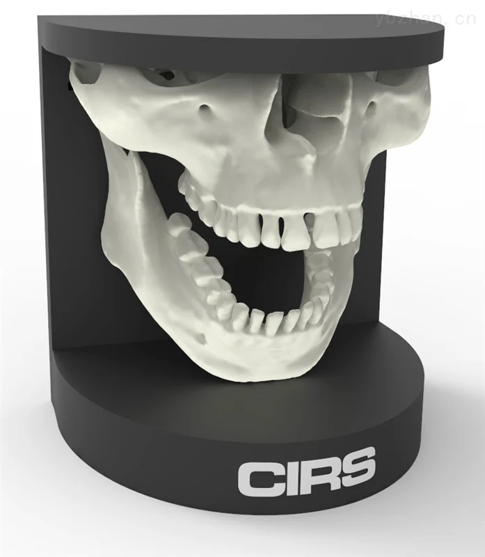 American CIRS 134200 dental oral phantom image 2