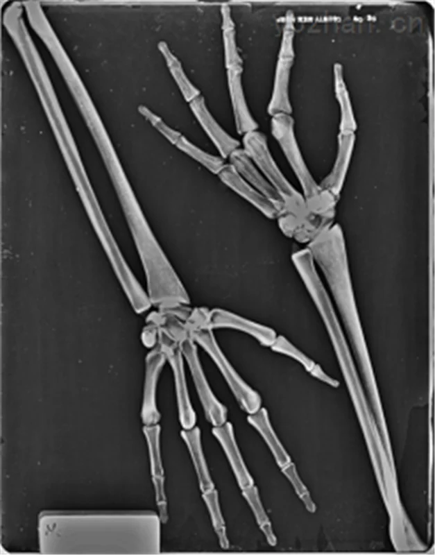 American RSD RS-103T full body human body model image 3