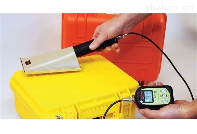 RadEye SX Portable Radiation Meter image 2