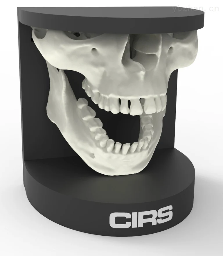 American CIRS 134200 dental oral phantom image 1
