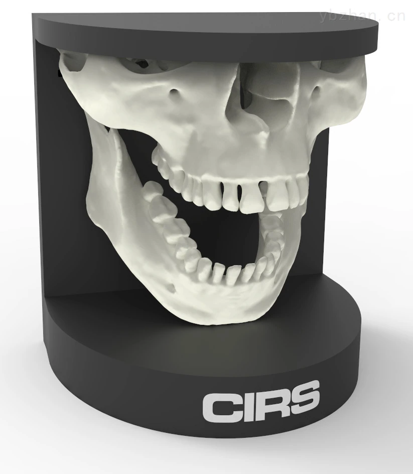 American CIRS 134200 dental oral phantom image